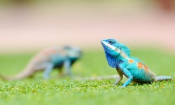 Suspendisse arcu nisl